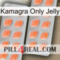 Kamagra Only Jelly 27